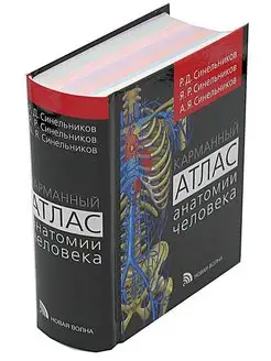 Карманный атлас анатомии человека. 2025 год