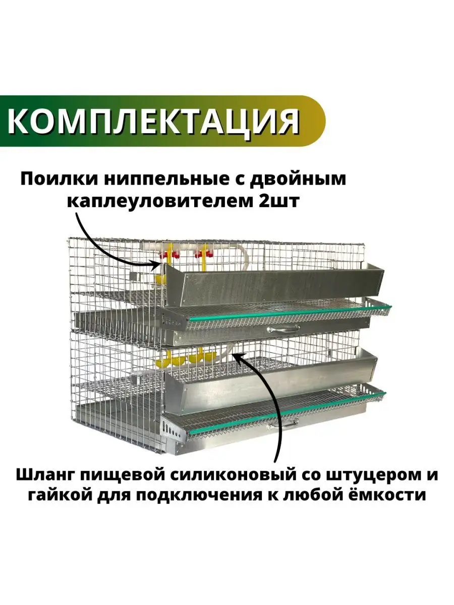 размеры клетки для перепелов на 30 голов. размеры клетки для перепелов на 50. размеры клеток для перепелов чертеж на 30 голов. размеры клетки для перепелов. каркасная клетка для перепелов чертежи.