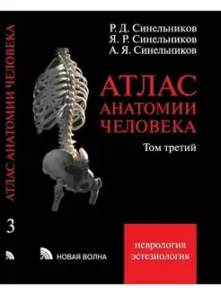 Атлас анатомии человека. Т. 3. Неврология