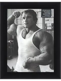 Арнольд Шварценеггер (Arnold Schwarzenegger)