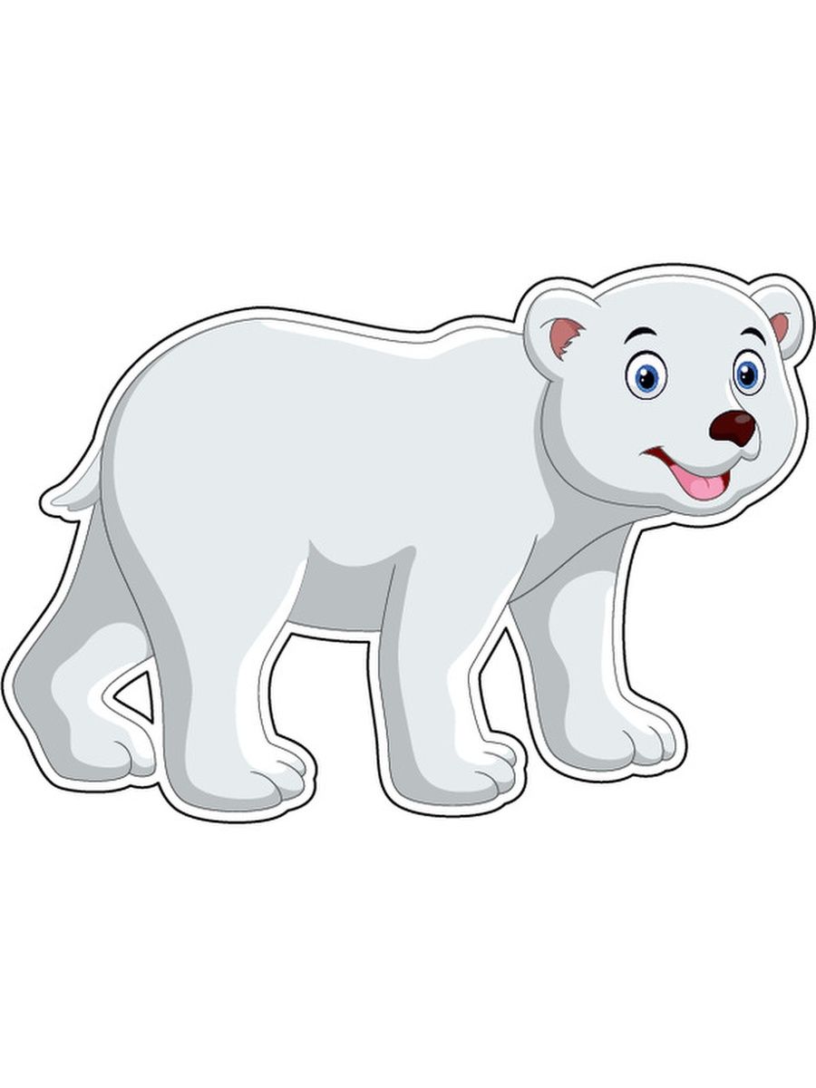 Картинки Белый Медведь Для Детей