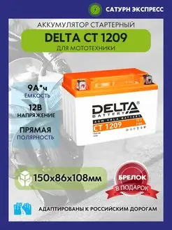 Аккумулятор Delta CT 1209