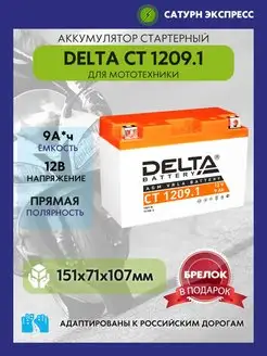 Аккумулятор Delta CT 1209.1