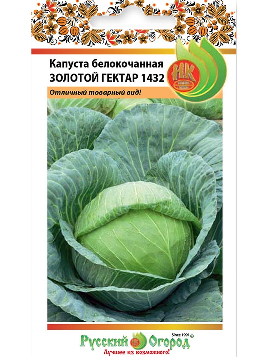 Сорт золотой гектар. Сорт капусты золотой гектар. Капуста белокочанная золотой гектар. Капуста с гектара. Капуста золотой гектар описание сорта.