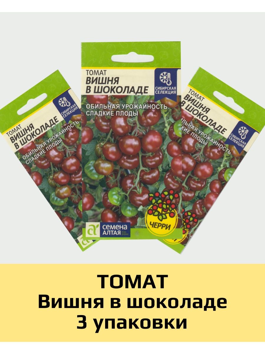 Черри вишня в шоколаде. Томат вишня в шоколаде. Томат вишневый Брауни. Томат вишня в шоколаде фото. Томат вишня в шоколаде характеристика и описание.