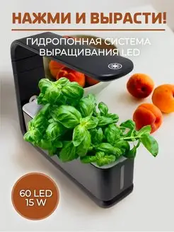 Гидропонная система выращивания LED