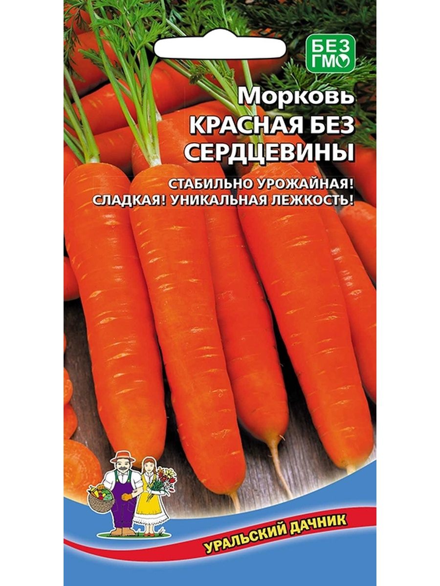 Красная без сердцевины. Морковь без сердцевины Уральский Дачник. Морковь тупоконечная без сердцевин. Название семян моркови без сердцевины. Сорта моркови без сердцевины для Урала.