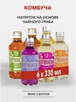 Чайный гриб живой, комбуча, напиток газированный