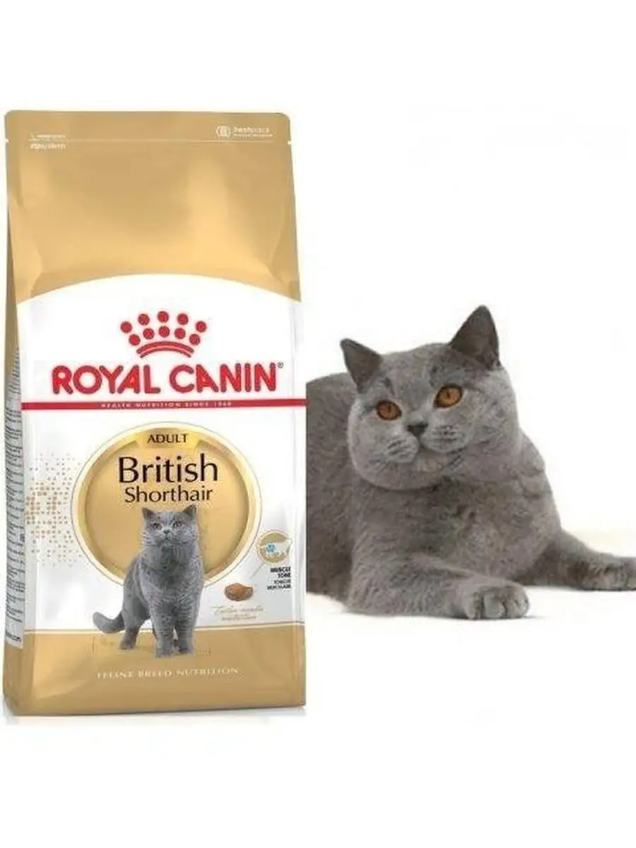 Роял канин для кошек британцев. Роял Канин для британцев 2 кг. Royal Canin British Shorthair Adult состав. Роял Канин для британцев состав.