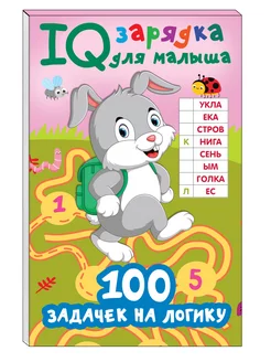 100 задачек на логику