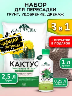 Грунт для кактусов и суккулентов