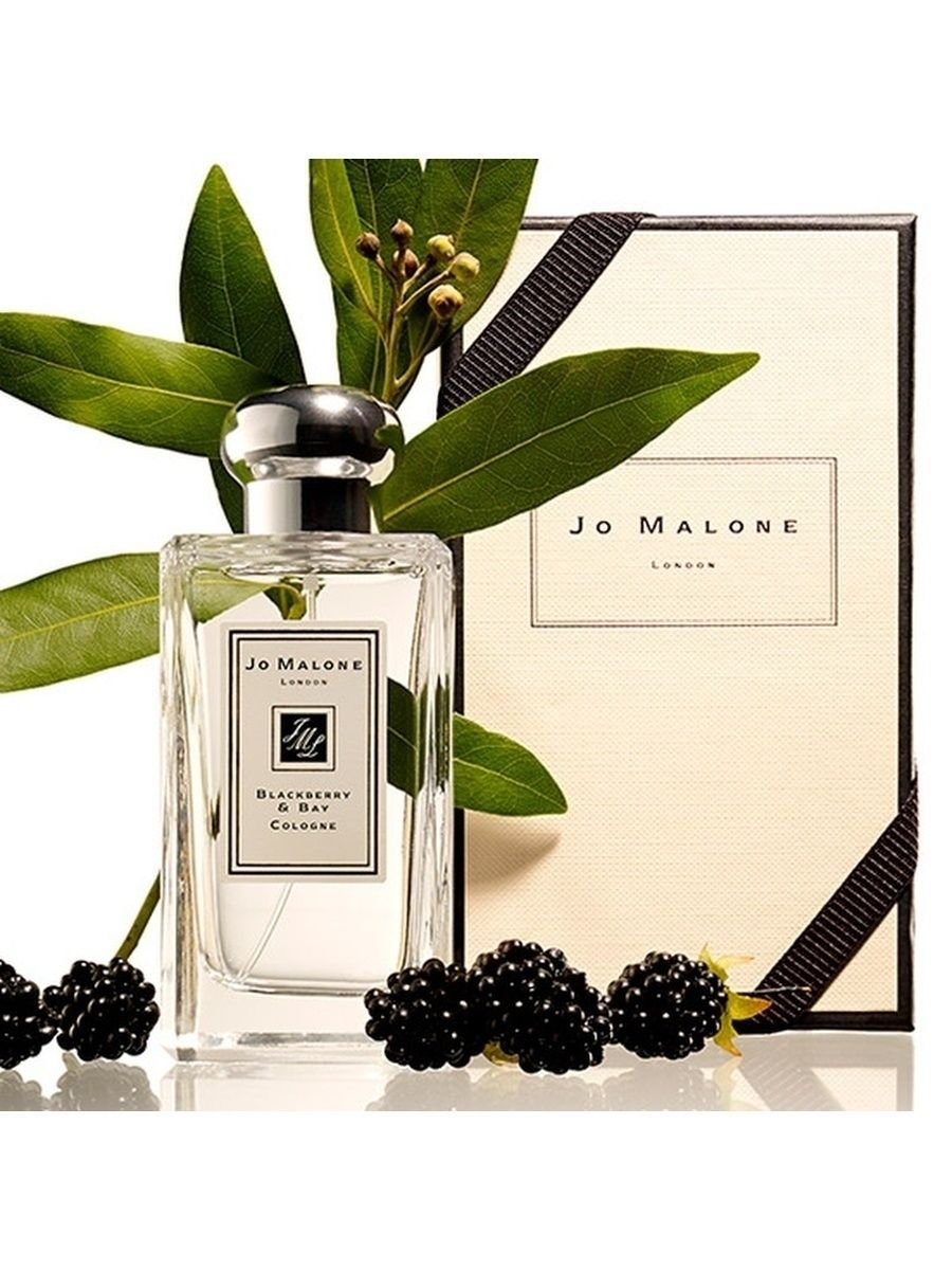 Джо малоне описание. Jo Malone BLACKBERRY & Bay 100ml. Jo Malone BLACKBERRY Bay Cologne 100ml. Духи Джо Малон блэкберри и Бэй. Jo Malone духи BLACKBERRY Bay Cologne.