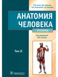 Анатомия человека. Учебник в 2-х т. Том 2 Сапин, Никитюк