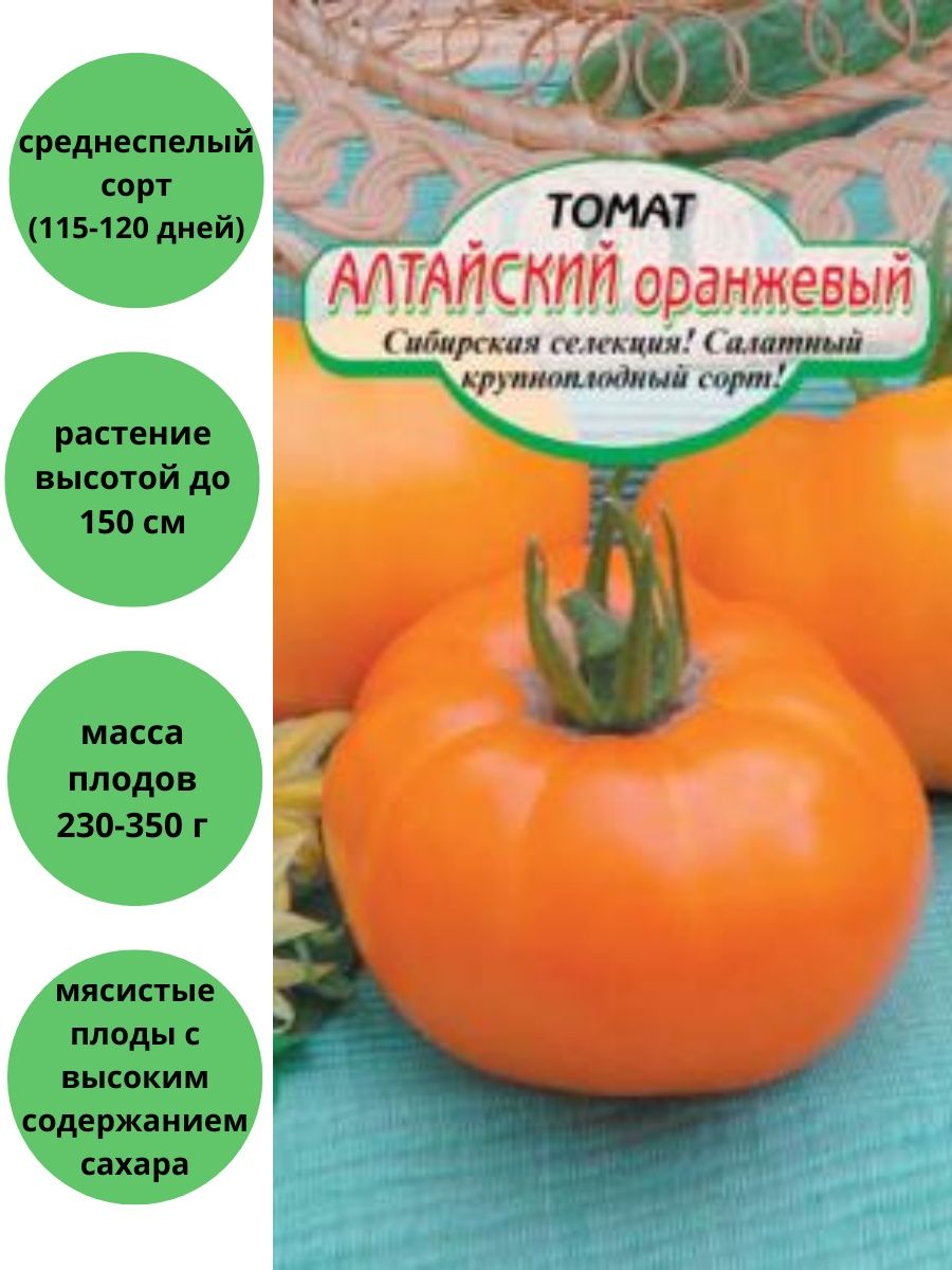 Сорт помидор Алтайский оранжевый