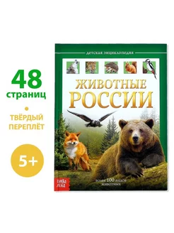 Детская энциклопедия в твёрдом переплёте «Животные России»