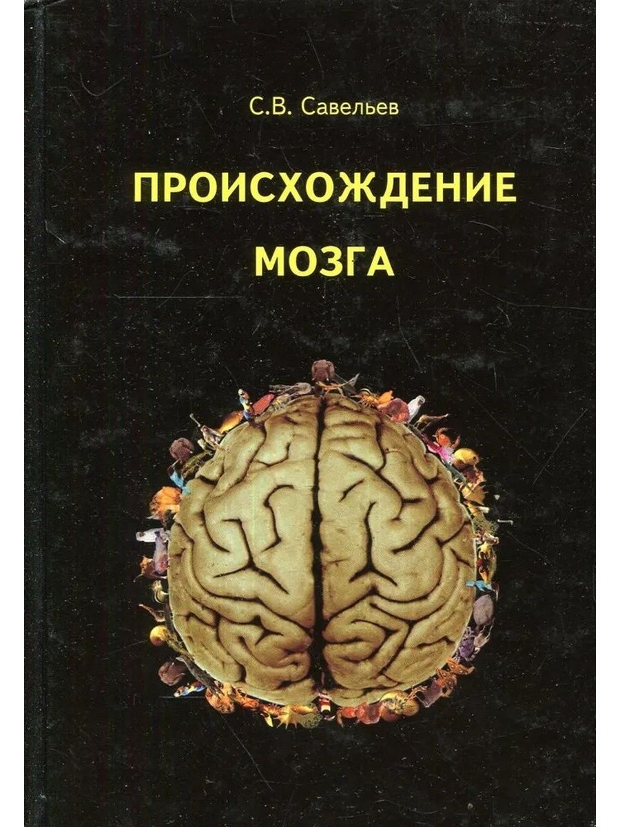 Лучшие книги про мозг